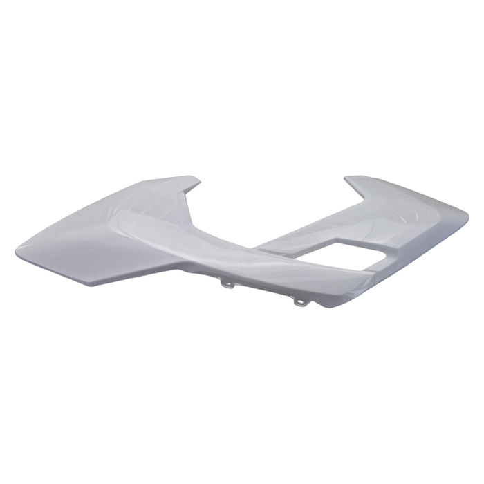 EGL EXP 110 linke Tankverkleidung + weiße Nummerntafel