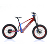 NAI e-BRO 20 motocykl elektryczny model 2025