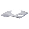 EGL EXP 110 linke Tankverkleidung + weiße Nummerntafel