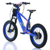 NAI e-BRO 18 Elektromotorrad für Kinder Modell 2025