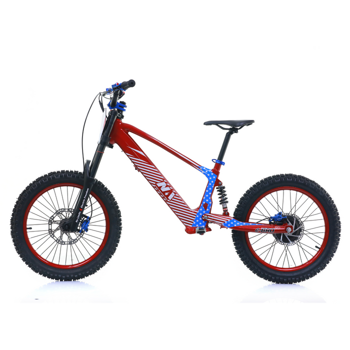 NAI e-BRO 20 Elektromotorrad Modell 2025